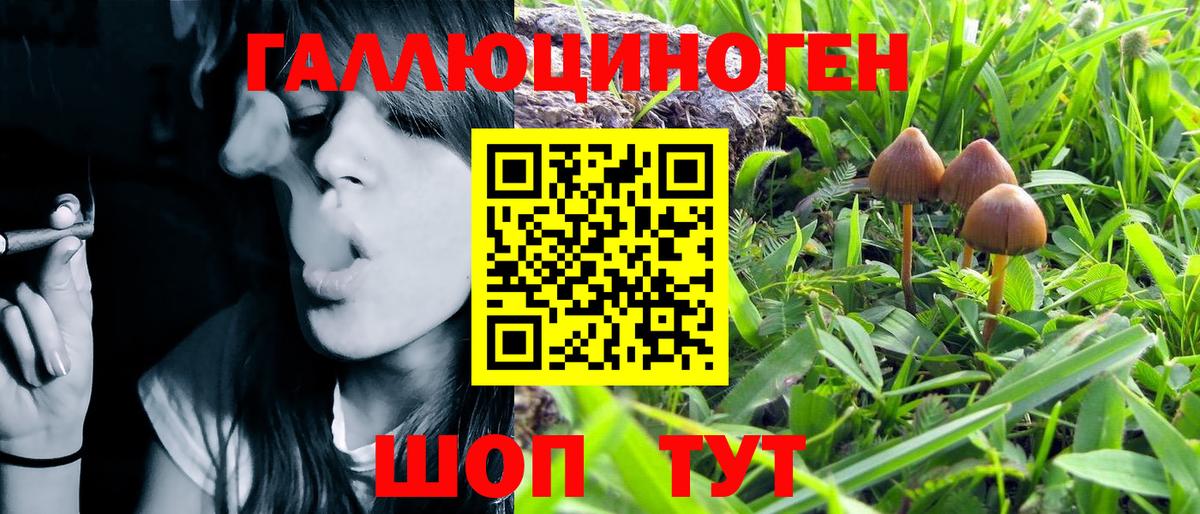 Псилоцибиновые грибы мухоморы  Вход с VPN  Галлюциногенные грибы Psilocybe  Кумертау 